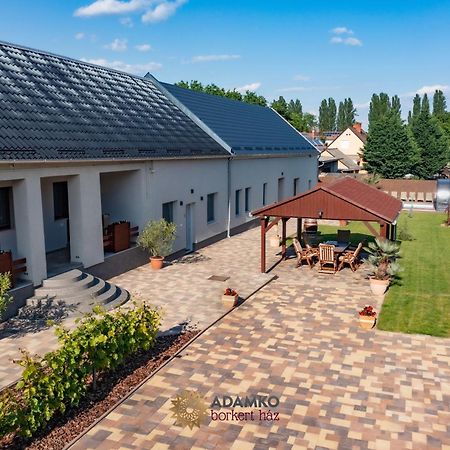 Adamko Borkert Haz Bed and Breakfast Villány Εξωτερικό φωτογραφία