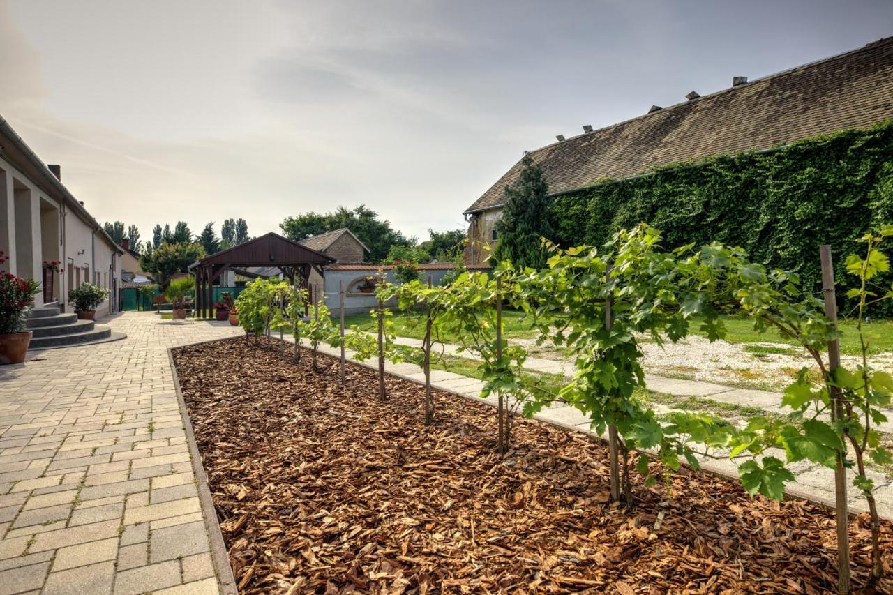 Adamko Borkert Haz Bed and Breakfast Villány Εξωτερικό φωτογραφία