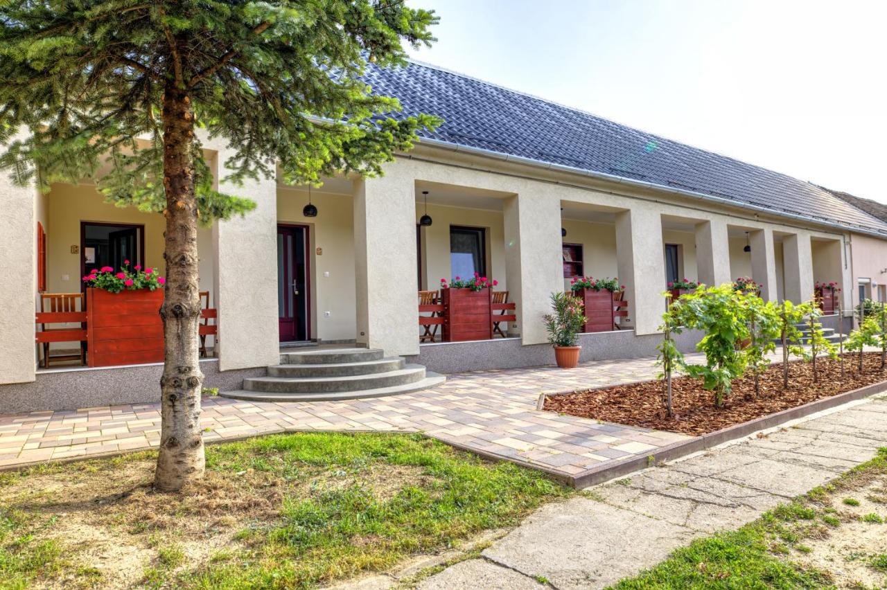Adamko Borkert Haz Bed and Breakfast Villány Εξωτερικό φωτογραφία